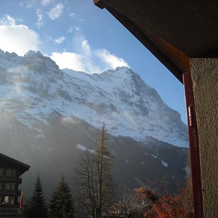 Pfaffenstoeckli Apartment Grindelwald Bagian luar foto