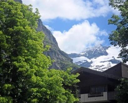 Pfaffenstoeckli Apartment Grindelwald Ruang foto