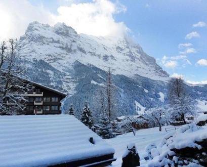 Pfaffenstoeckli Apartment Grindelwald Ruang foto