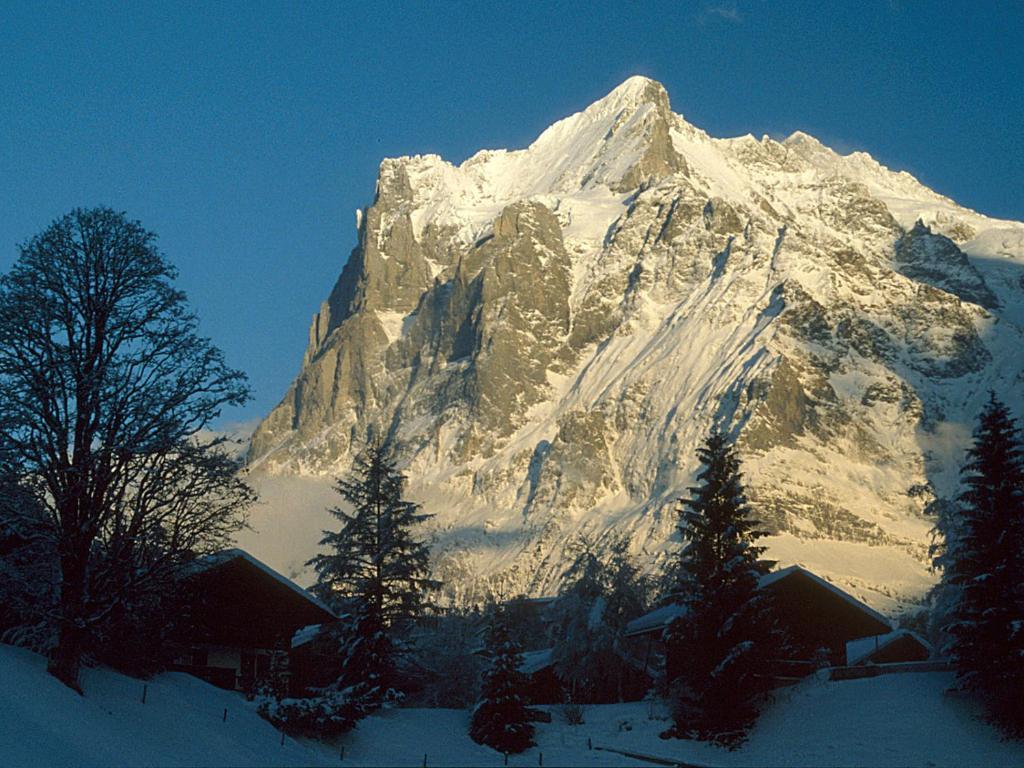 Pfaffenstoeckli Apartment Grindelwald Bagian luar foto